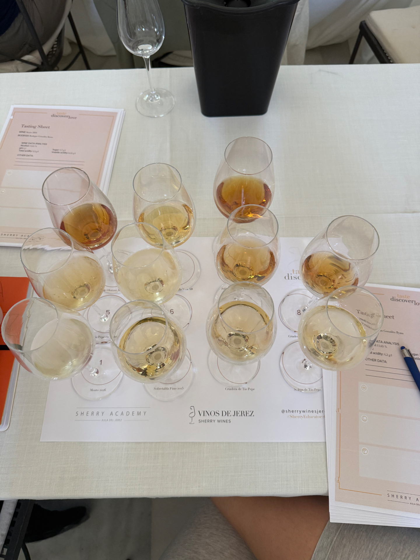 Wine glasses arranged for a guided tasting