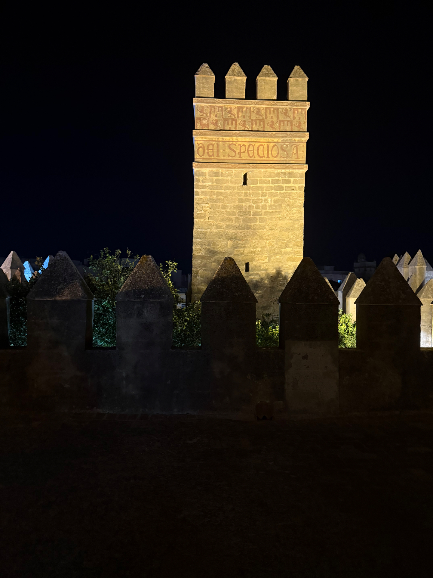 Alcázar tower glowing above the crenellated wall at night