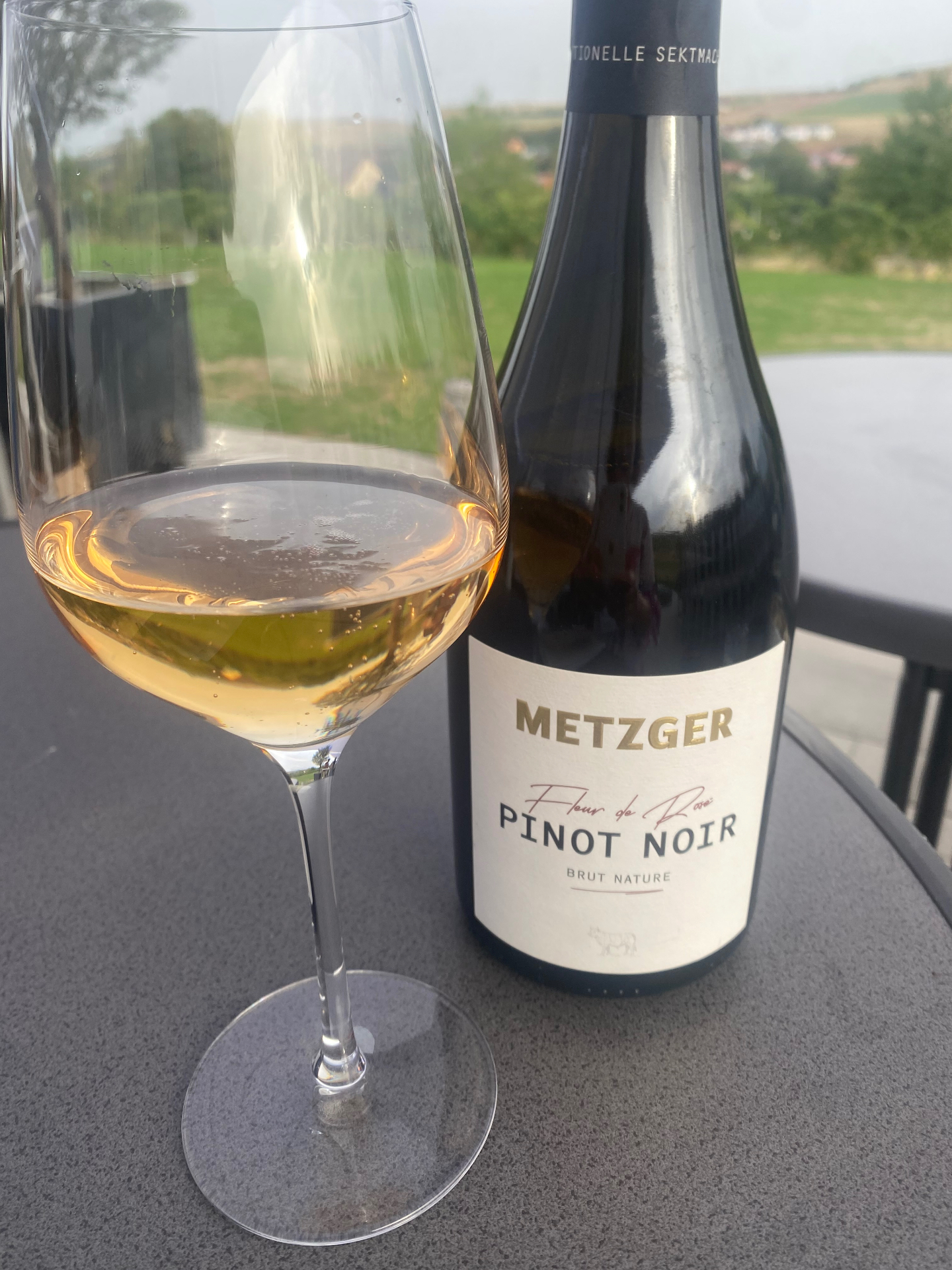 Metzger Pinot Noir Brut Nature sparkling wine with a glass